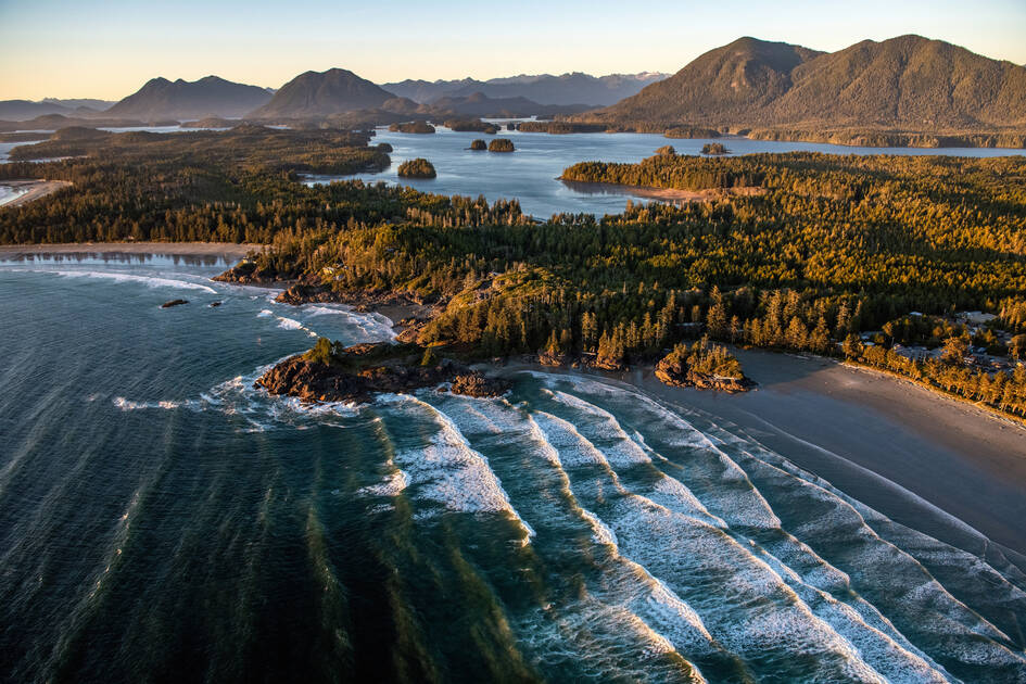 a aerial view of a beach with water and trees