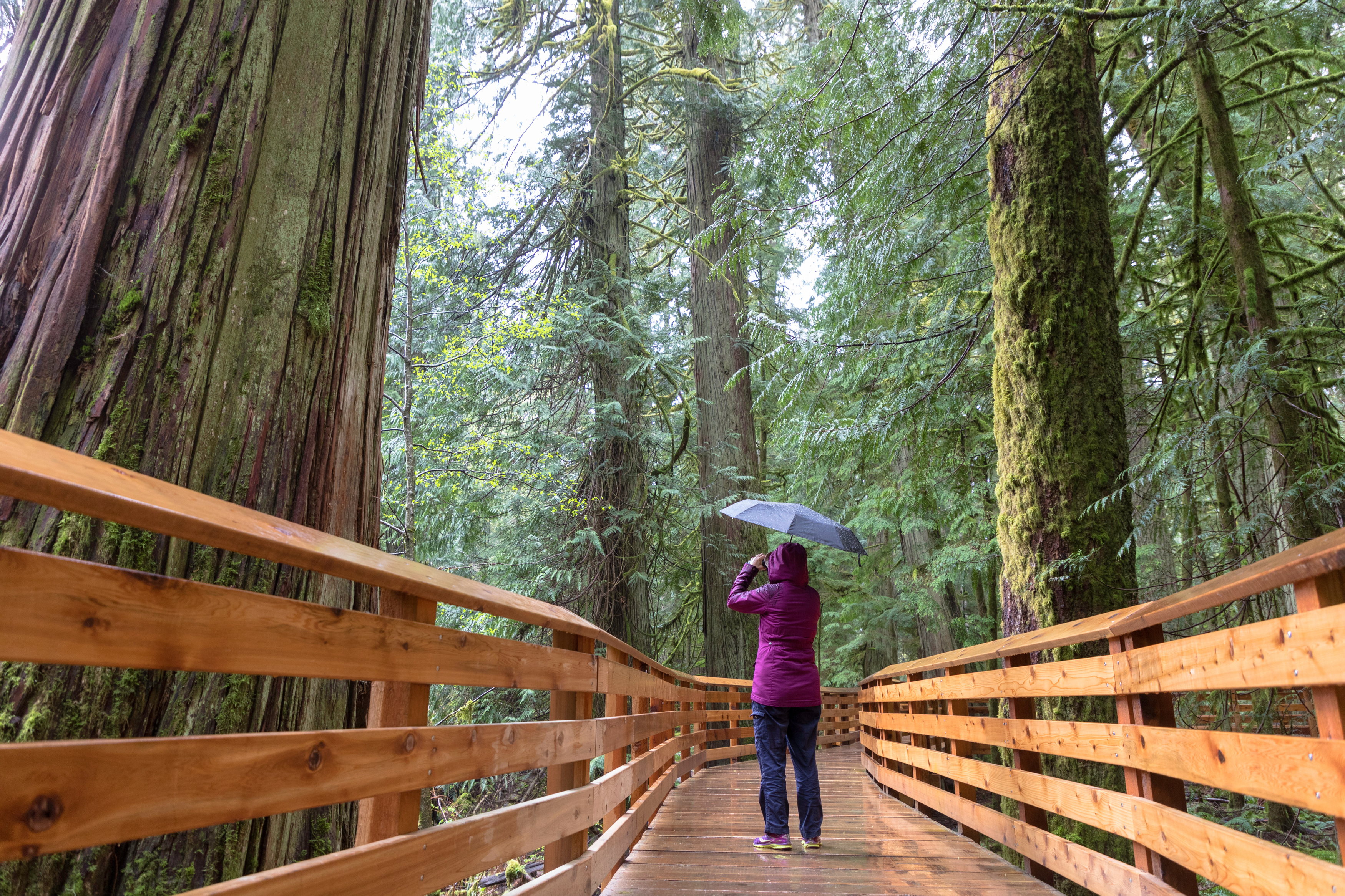 a person holding an umbrella on a wooden bridge