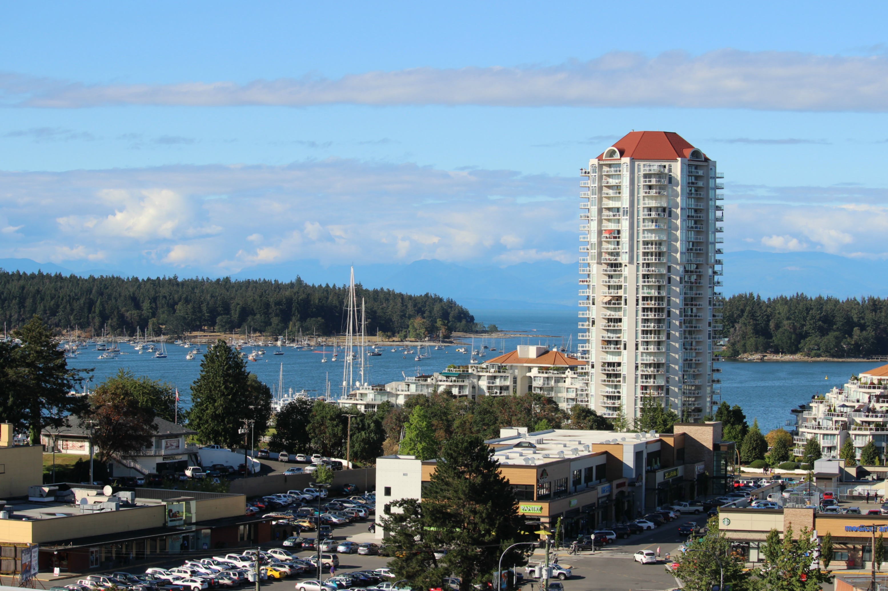 a city with a lot of cars and a body of water